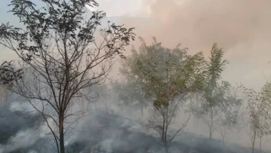 Photo of Видео: Ангелов: Гори релативно мал крак кај Ајватовци, поддршка од воздух не е потребна