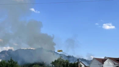 Photo of (Видео) Локализиран големиот шумски пожар над Отовица