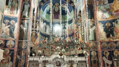 Photo of Источна Србија: Богатство на историја крај Дунав од мамути и Аве Цезаре до средновековни тврдини