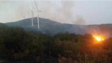 Photo of Беснее пожарот кај Богданци, изгорени над 500 хектари