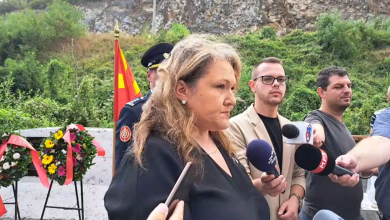 Photo of „Цаци, готова си“: Закана од автомобил кон пратеничката Славјанка Петровска