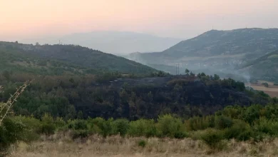 Photo of ЦУК: Воспоставена делумна контрола на пожарот во Зелениково