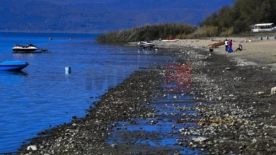 Photo of ЕУ организира чистење на плажата на Преспанското Езеро