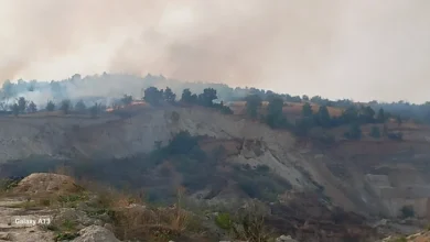 Photo of Томески: Пожарот кај Катланово делумно ставен под контрола, нема опасност за населбата и манастирот