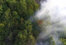 Photo of Пожар кај кривопаланечкото село Градец, гори сува трева и борова шума
