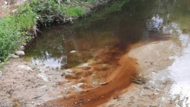 Photo of ЈП Дрисла се соочува со казна од 120.000 евра за загадувањето на Маркова река