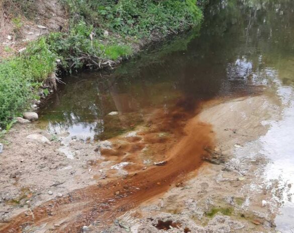 ЈП Дрисла се соочува со казна од 120.000 евра за загадувањето на Маркова река
