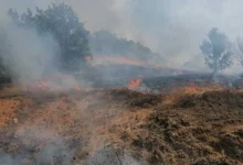 Photo of Три пожари се активни во земјава