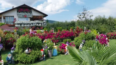 Photo of Бајковито, магично, волшебно – „Куќата на цвеќето“ репрезент на Преспа