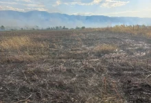 Photo of Голем пожар на отворено кај Струмица, гори површина од околу 20 хектари во должина од 3 километри