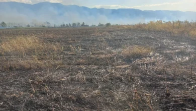 Photo of Голем пожар на отворено кај Струмица, гори површина од околу 20 хектари во должина од 3 километри