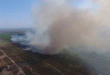 Photo of Пожар со денови беснее кај Фиер, на барање на Албанија Грција ќе испрати канадер