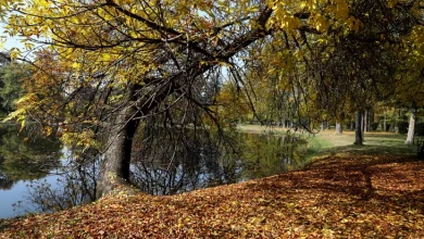 Photo of Утрото свежо, преку ден сончево, кон крајот на денот умерена облачност