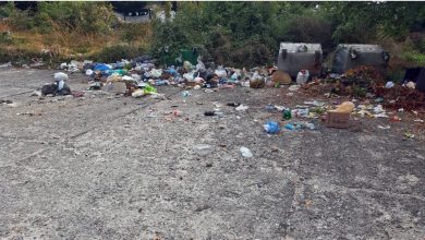 Photo of Видео:Мини „депонија“ кај паркингот во „Св. Стефан“. Што гледаат туристите во Охрид?