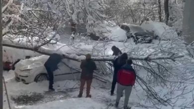 Photo of (Видео) Снегот предизвика проблеми во Бугарија, Романија и Србија: откажани летови, вонредна состојба прогласена во повеќе градови