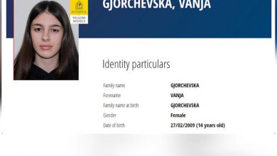 Photo of Во потрагата на Вања се вклучи и Интерпол, а грчка невладина организација за заштита на децата  објави пост