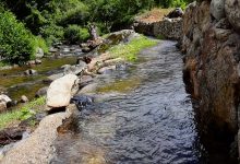 Photo of ЦУК: Обилни дождови предизвикаа зголемени водостоји и поплави на повеќе локации