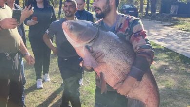 Photo of (Фото/Видео) Огромна риба уловена во езерцето во Градскиот парк
