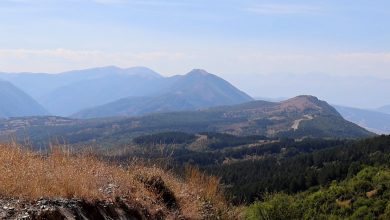 Photo of ВИДЕО: Луѓето во Македонија мора да разберат дека без шума нема услови за живот