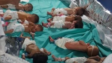 Photo of (Видео) Бебињата во болницата во Газа ги вадат од инкубатор и ги завиткуваат во фолија за да ги одржат во живот