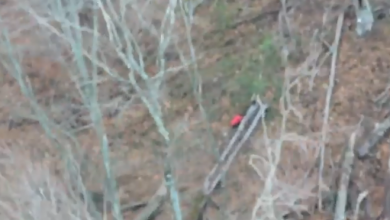 Photo of ВИДЕО: Полицијата со хеликоптер пронајде исчезнато лице!