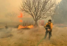 Photo of Пожарот „Смоукхаус Крик“ официјално е најголемиот во историјата на Тексас
