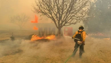 Photo of Пожарот „Смоукхаус Крик“ официјално е најголемиот во историјата на Тексас