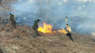 Photo of Видео: Два пожара во Национален парк Шар Планина, едниот не е под контрола