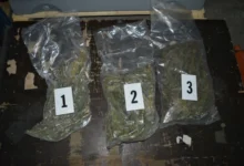 Photo of Пронајдена дрога при претреси во затворот во Прилеп и во викенд-куќа, приведено едно лице