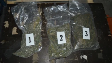 Photo of Пронајдена дрога при претреси во затворот во Прилеп и во викенд-куќа, приведено едно лице