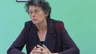 Photo of Европратеничката Штрик: Политичарите дс ги соочат гласачите со фактот дека потребни уставните промени  де неопходни пред да се влезе во преговори за влез во Унијата