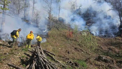 Photo of За еден месец изгорени над 400 хектари шума во Националниот парк Шар Планина