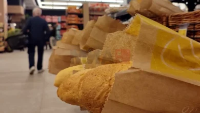 Photo of Цената на лебот засега е стабилна и нема да се менува, велат од Агро-бизнис комората при ССК