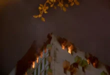Photo of Пожар во руската Република Бурјатија зафатил 20 станбени згради