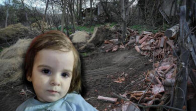 Photo of Кратко пред исчезнувањето на Данка мајката гуглала информации за граничниот премин меѓу Србија и Романија