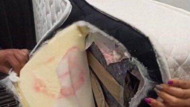 Photo of (ФОТО) Бугарија заплени хероин вреден 9 милиони евра сокриен во душеци за спиење