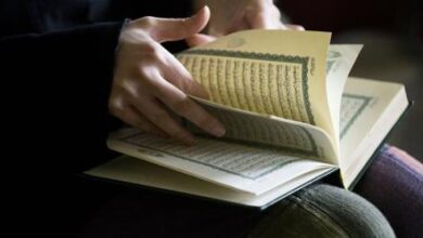 Photo of Нова драма во норвешката влада: Министерката за здравство го лажирала магистерскиот труд