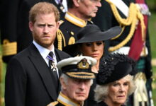 Photo of Кралот Чарлс одбива да го види принцот Хари