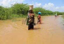 Photo of Над 300 луѓе го загубија животот во поплави во Источна Африка