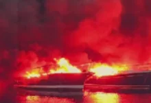 Photo of Во голем пожар во пристаништето во Медулин уништени над 30 јахти