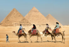 Photo of Научниците открија како биле изградени пирамидите во Гиза