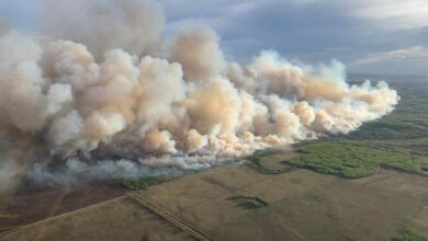 Photo of Голем шумски пожар се шири во Канада – властите во паника