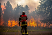 Photo of ЕУ ќе распореди пожарникари од 12 земји на потенцијалните места за шумски пожари