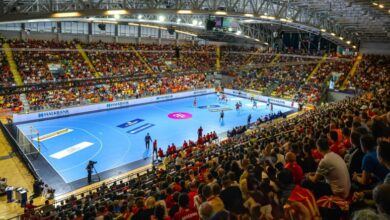 Photo of РФМ со благодарност до навивачите и порака до сите ракометар(к)и: Вие сте наша гордост!