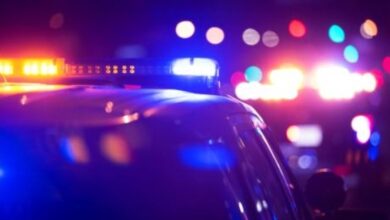 Photo of Белград: Го закопал татко си во дворот и молчел 8 години за да ја добива пензијата