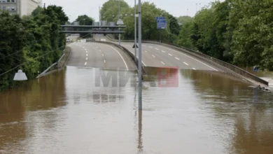Photo of Во делови на Германија железничкиот сообраќај е во прекин поради поплавите