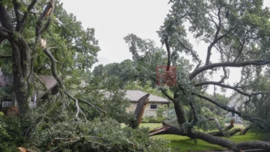 Photo of Дете загина, мајка повредена во торнадо во Мичиген