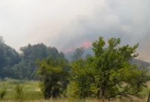 Photo of Осум пожари во изминатото деноноќие, активен пожарот кај кичевското село Цер