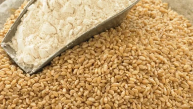 Photo of Земјоделскиот сектор на Украина изгуби повеќе од 10 милијарди долари за време на војната