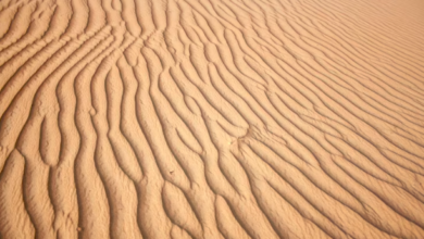 Photo of Песок од Сахара го загади воздухот во Македонија. Лицата со респираторни и срцеви заболувања посебно да внимаваат